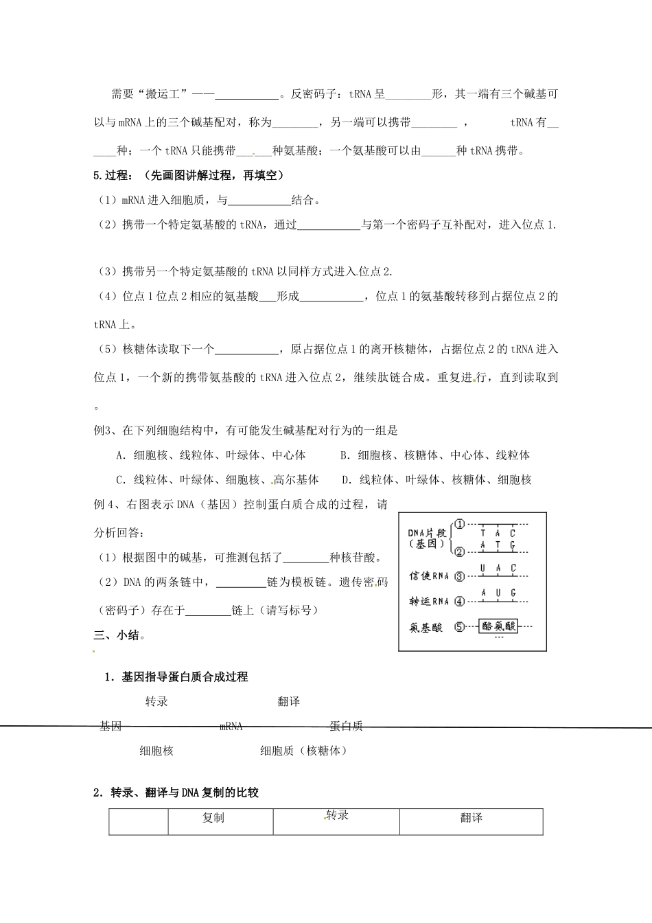 高中生物：41《基因指导蛋白质的合成》教案（2）（新人教版必修2）_第3页