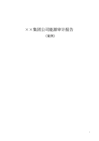 印染企业能源审计报告.doc
