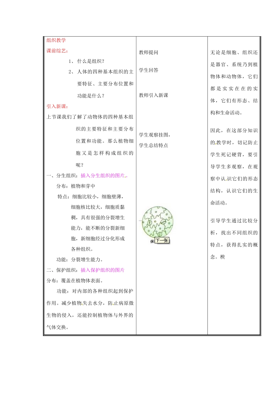 七年级生物上册 第二单元《生物体的结构》第4章 生物体的结构层次 4.1 细胞分化形成组织（二）教案 （新版）北师大版_第2页