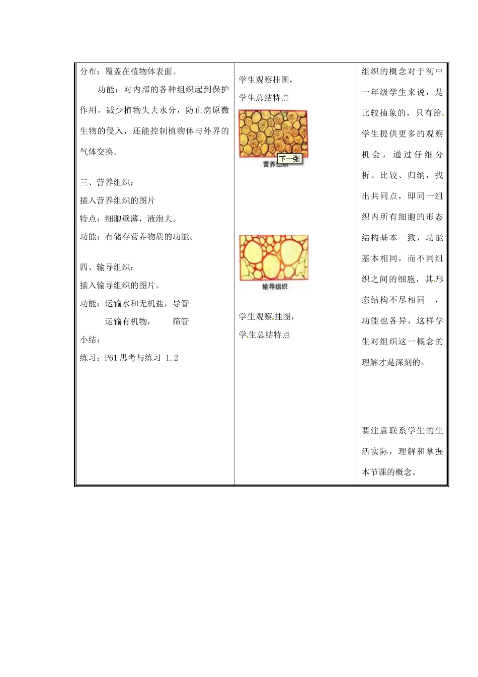 七年级生物上册 第二单元《生物体的结构》第4章 生物体的结构层次 4.1 细胞分化形成组织（二）教案 （新版）北师大版_第3页