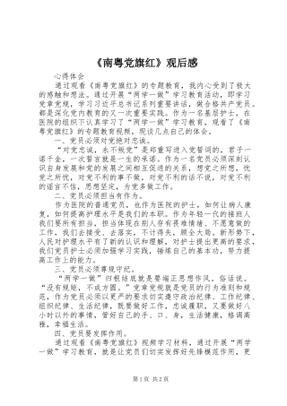 《南粤党旗红》观后感