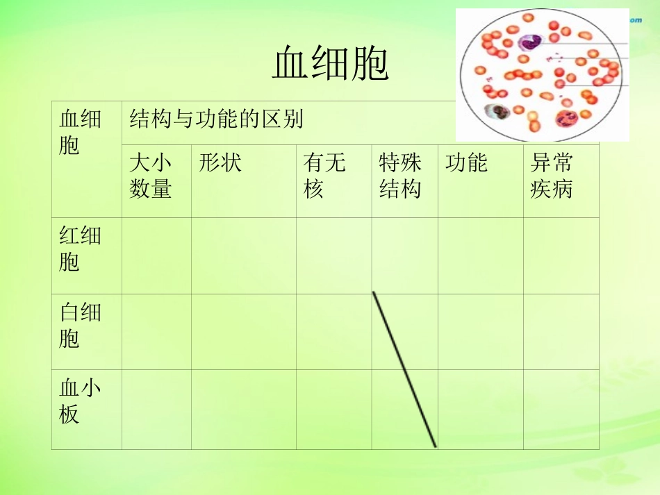 七年级生物下册 3.3 人体内的物质运输复习课件1 （新版）济南版_第3页
