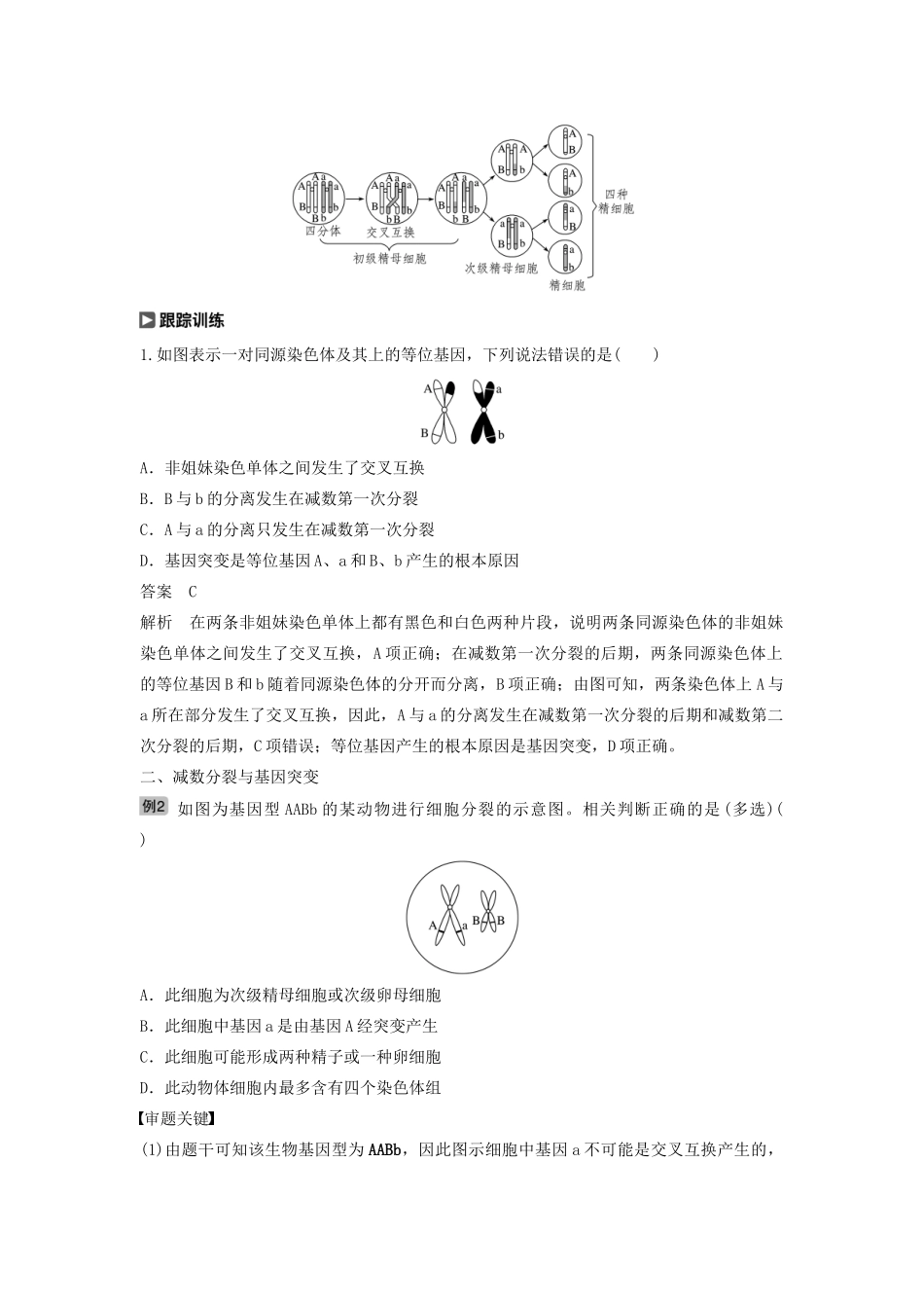 （江苏专用）高考生物新导学大一轮复习 第四单元 细胞的生命历程和有性生殖 热点题型三 减数分裂与可遗传变异的关系分析讲义（含解析）苏教版-苏教版高三全册生物教案_第2页