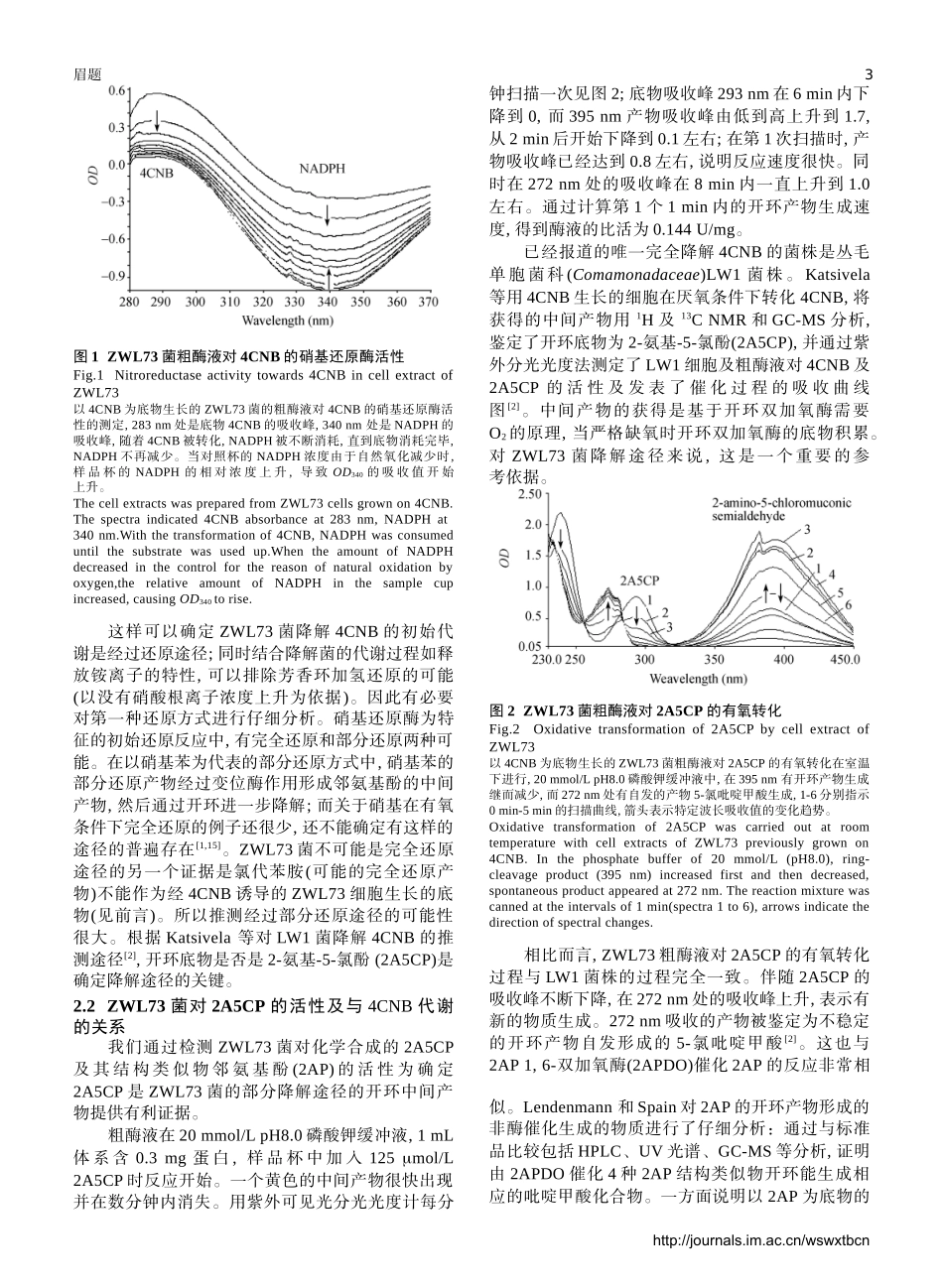 假单胞菌ZWL73降解4-氯硝基苯的代谢途径研究-生物谷_第3页