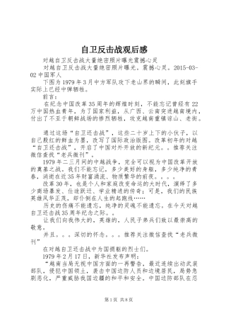 自卫反击战观后感