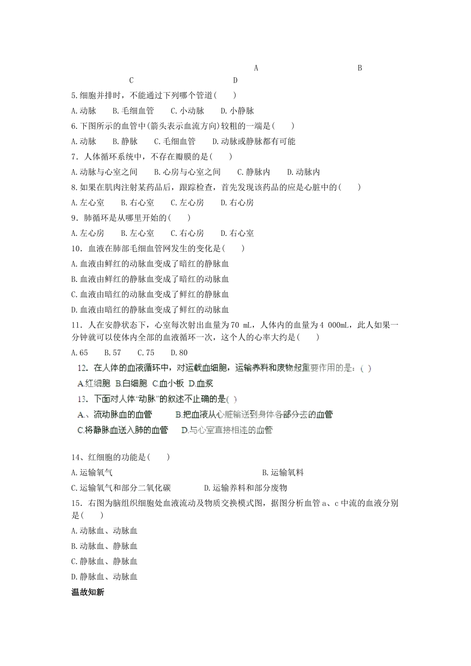 山东省龙口市诸由观镇诸由中学七年级生物下册 第四章《人体内物质的运输》物质运输的管道复习教案 新人教版_第2页