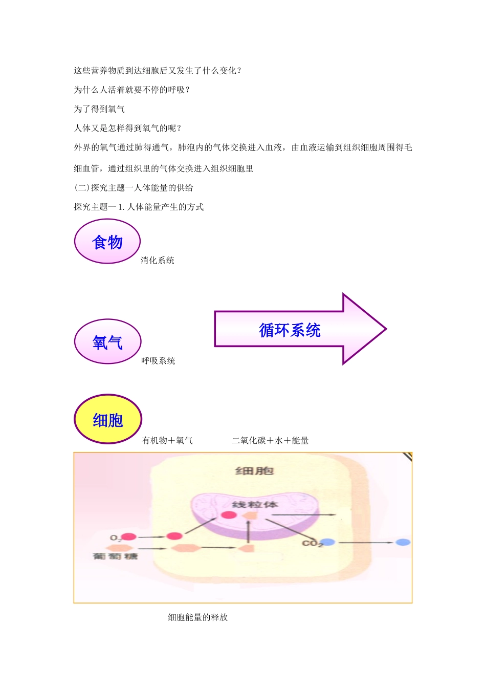 七年级生物下册 第四单元 生物圈中的人 第十章 人体内的物质运输和能量供给 第五节 人体能量的供给教案（新版）苏教版-（新版）苏教版初中七年级下册生物教案_第2页
