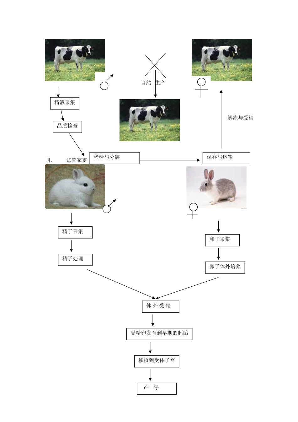 高中生物：2.1 农业生产中的繁殖控制技术 教案新人教版选修2_第3页