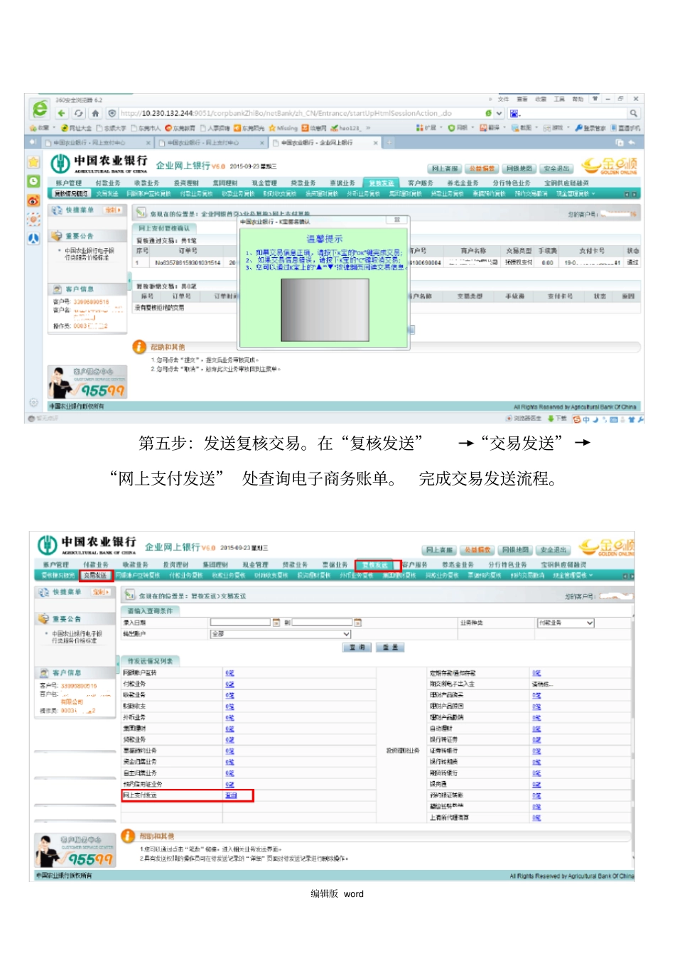 中国农业银行B2B支付操作手册_第3页