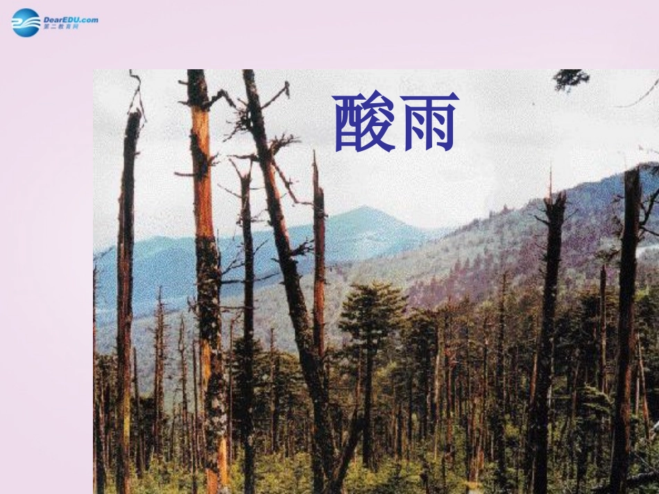山东省泰安新泰市七年级生物下册 4.7.3 拟定保护生态环境的计划课件 新人教版_第2页