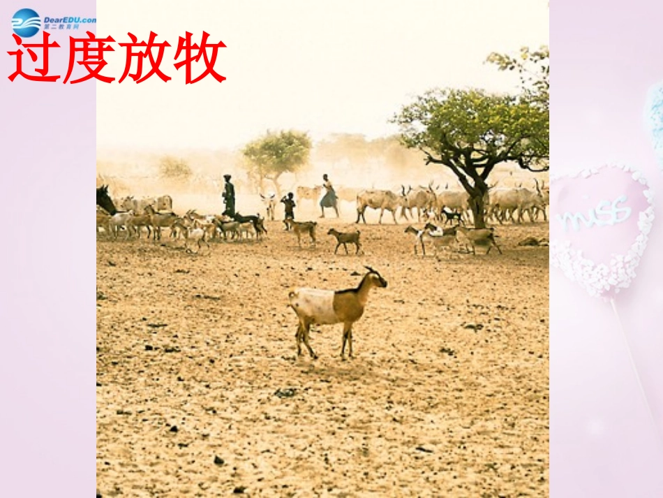 山东省泰安新泰市七年级生物下册 4.7.3 拟定保护生态环境的计划课件 新人教版_第3页