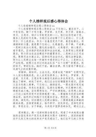 个人榜样观后感心得体会