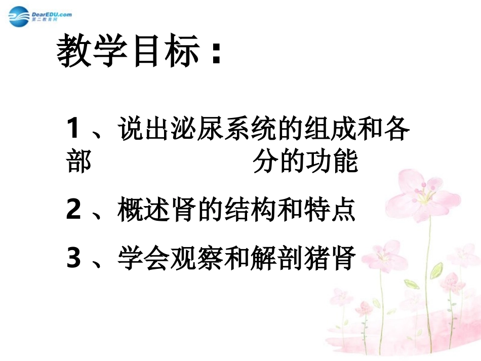 七年级生物下册 第十一章 第一节 人体泌尿系统的组成课件3 （新版）苏教版_第2页