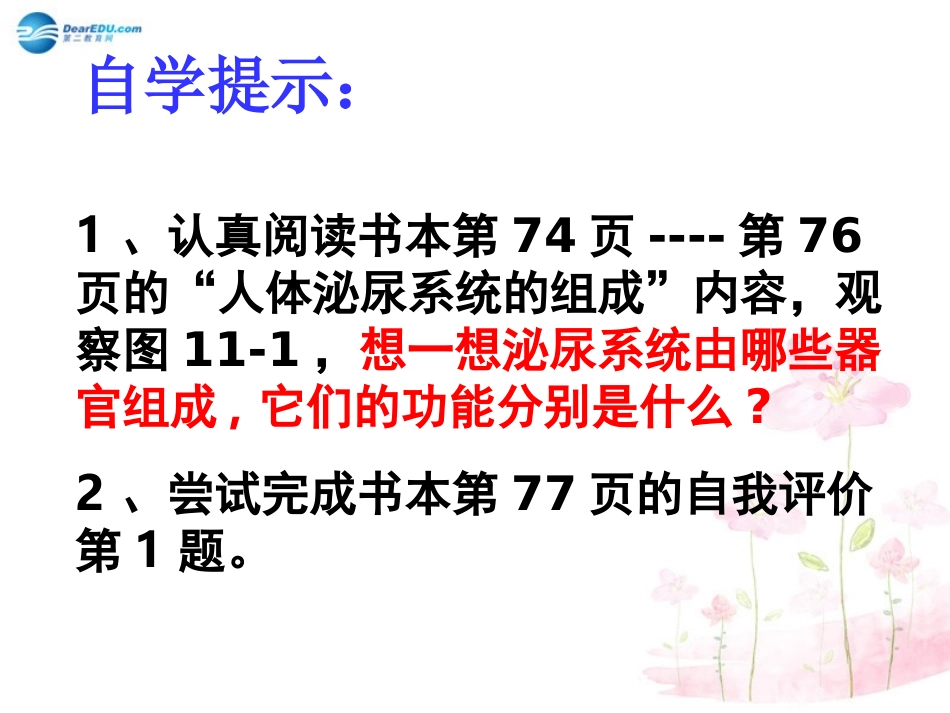 七年级生物下册 第十一章 第一节 人体泌尿系统的组成课件3 （新版）苏教版_第3页