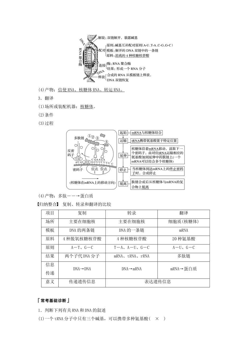 （江苏专用）高考生物新导学大一轮复习 第六单元 遗传的分子基础 第20讲 基因控制蛋白质的合成讲义（含解析）苏教版-苏教版高三全册生物教案_第2页