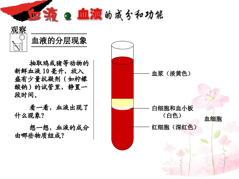 七年级生物下册 第十章 第二节 人体的血液循环课件4 （新版）苏教版_第1页
