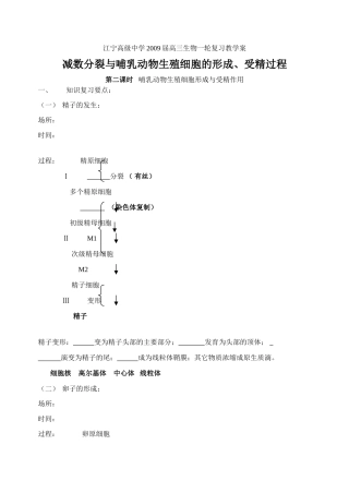 哺乳动物精卵受精