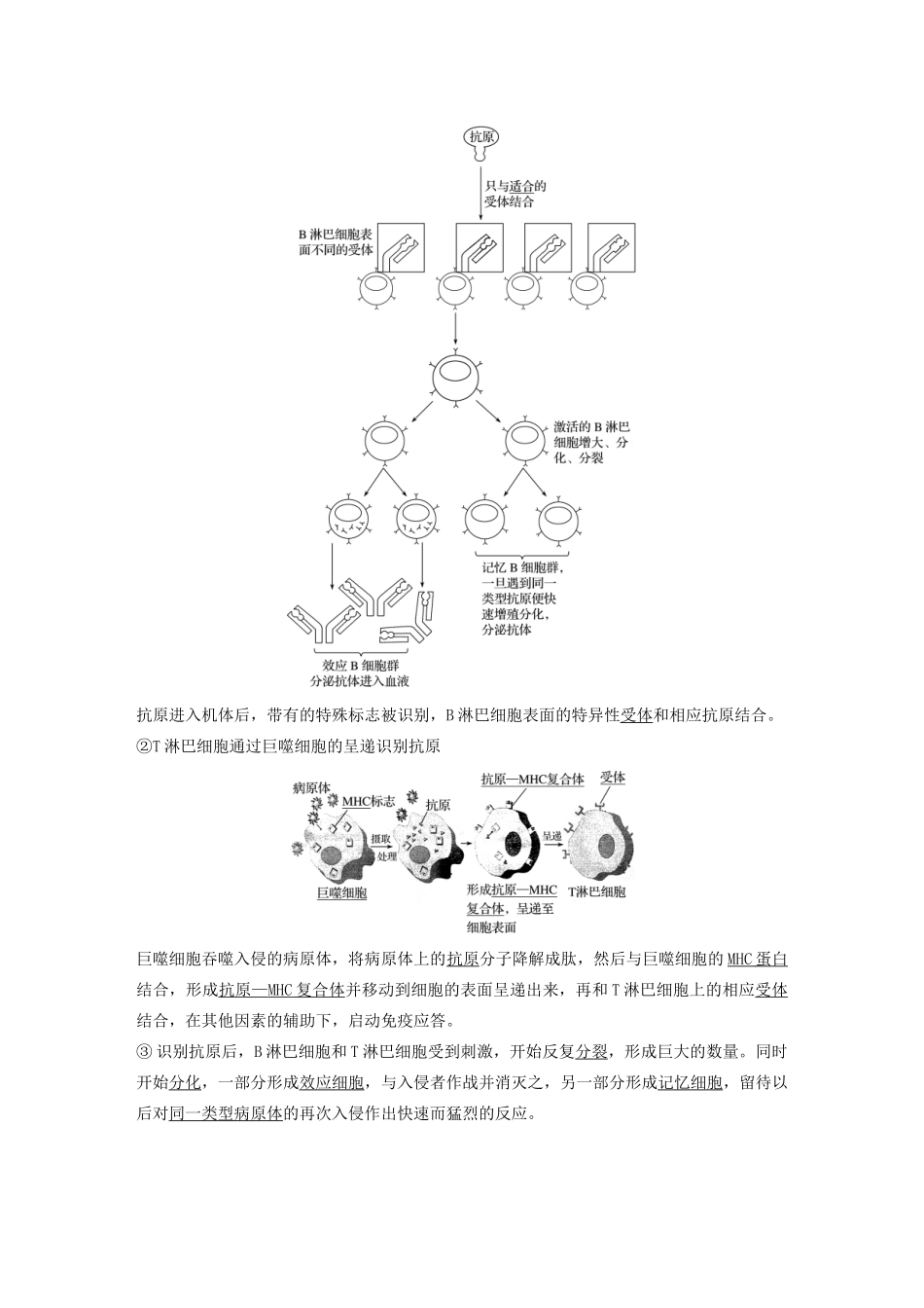 高中生物 第三章 免疫系统与免疫功能 第7课时 细胞免疫和体液免疫教案（必修3）-人教版高中必修3生物教案_第2页