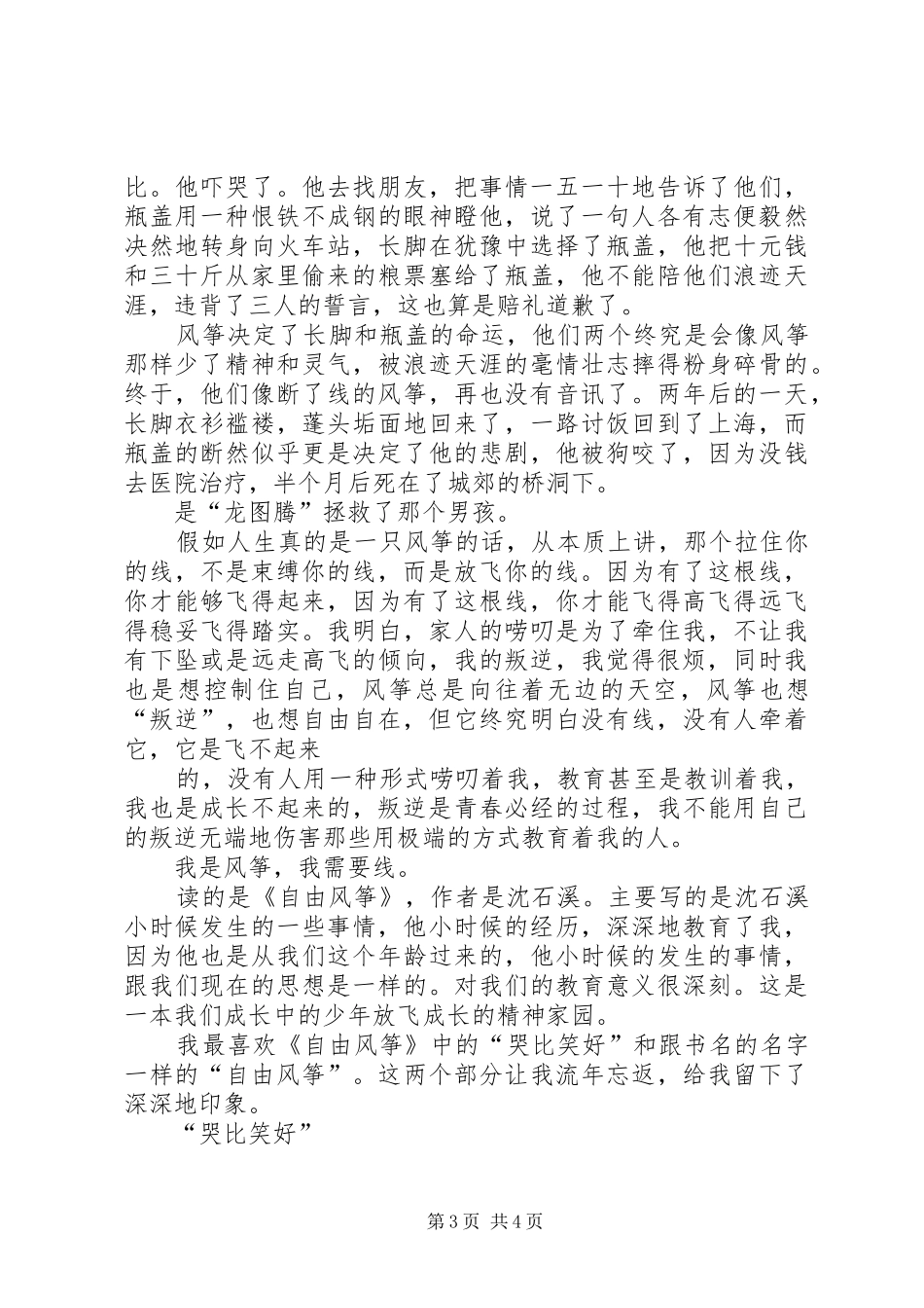 《自由风筝》读后感_第3页