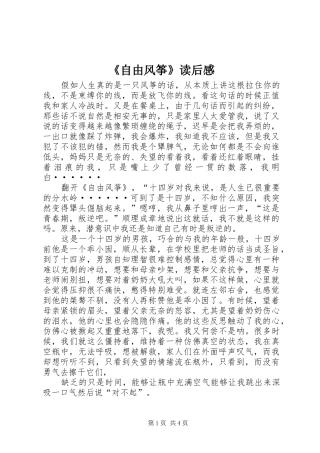 《自由风筝》读后感