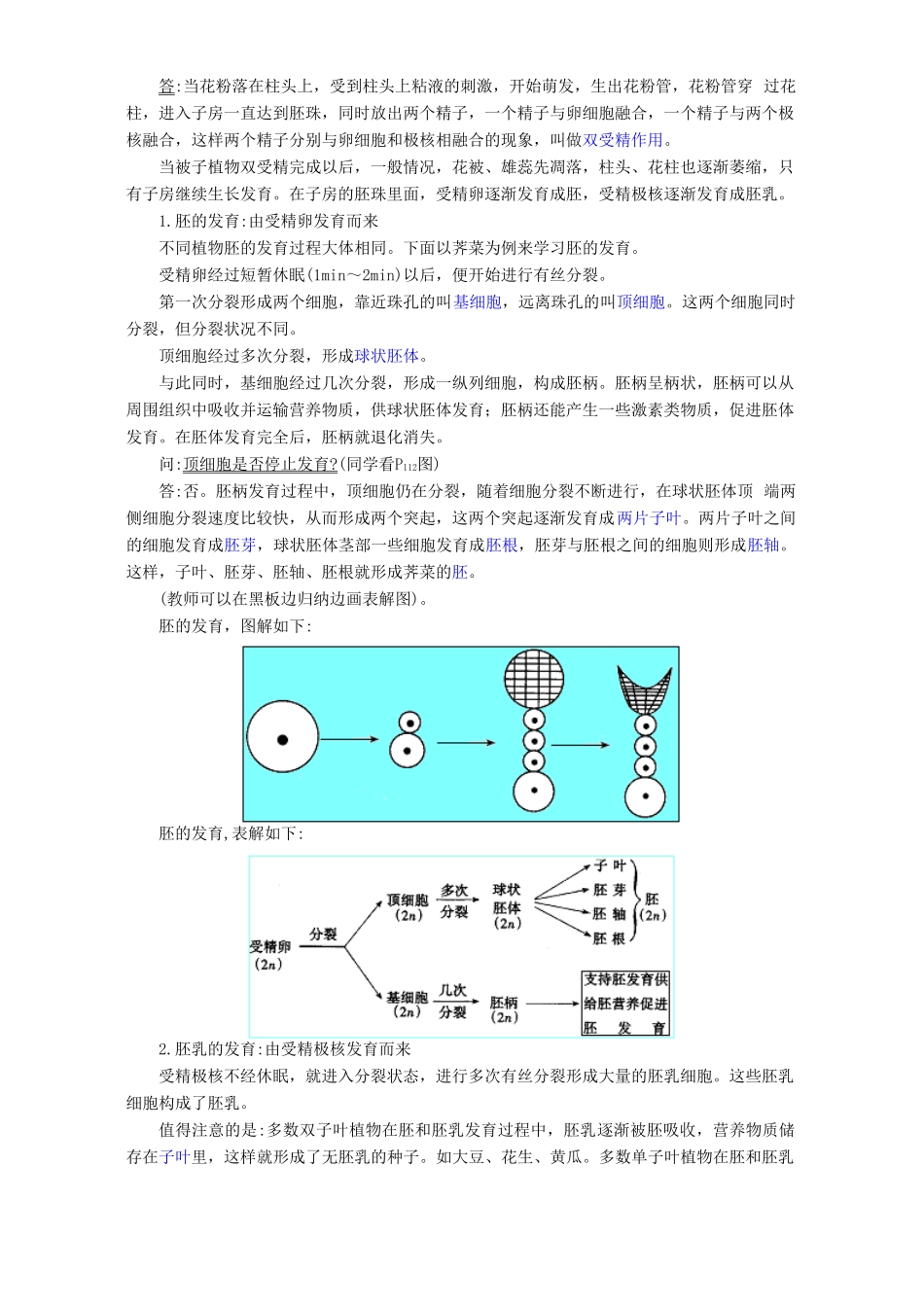 高二生物被子植物的个体发育教案_第3页