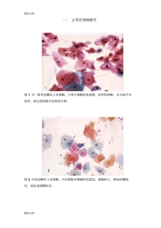 (整理)图谱宫颈细胞学.