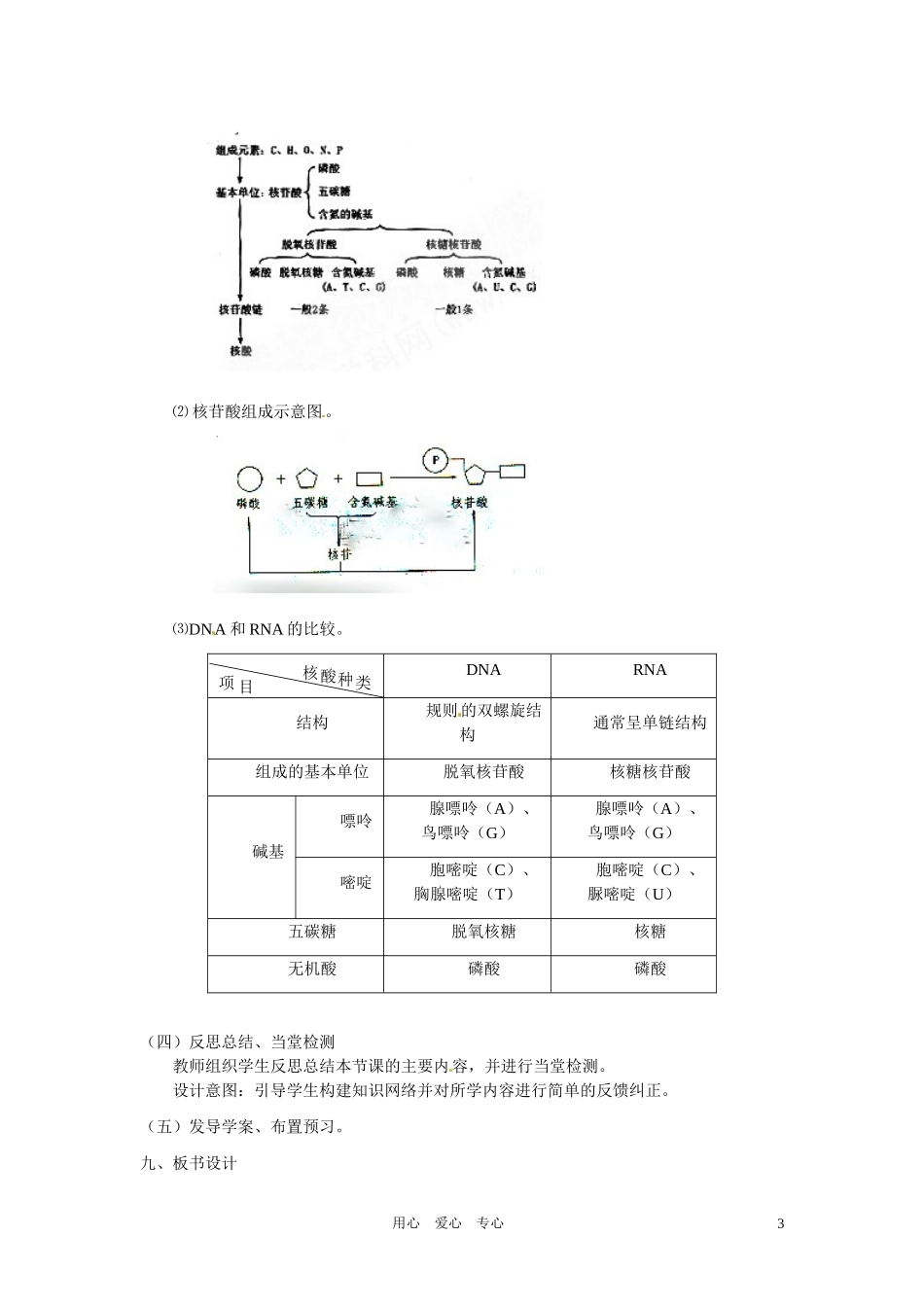 高中生物 《遗传信息的携带者-核酸》教案 新人教版必修1_第3页