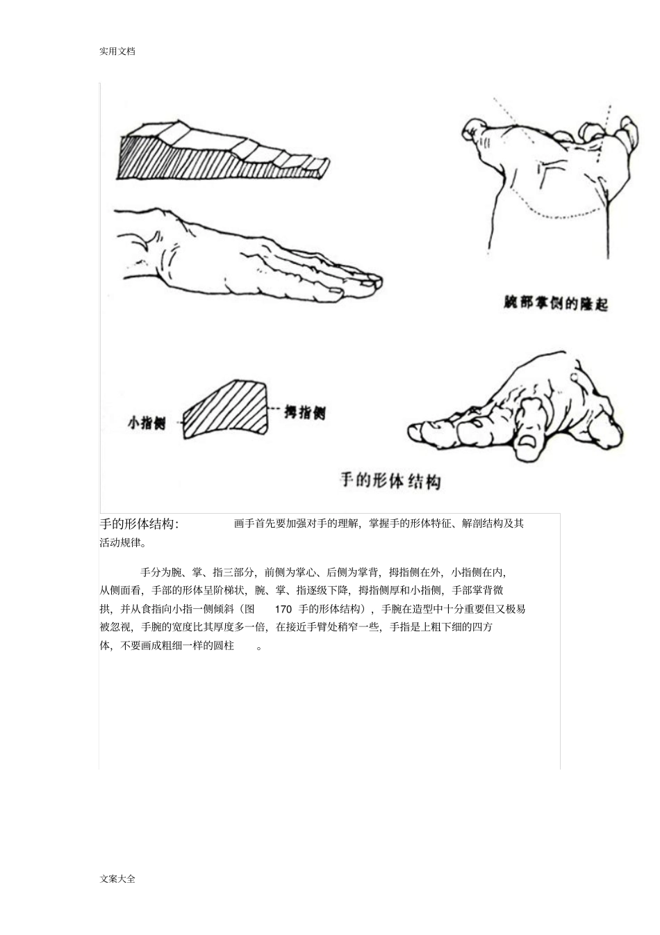 全面地素描手部结构图_第3页