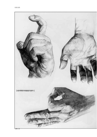 全面地素描手部结构图