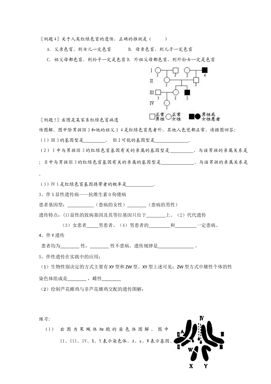 高中生物：2.3 伴性遗传 教案（2） 新人教版必修2_第3页