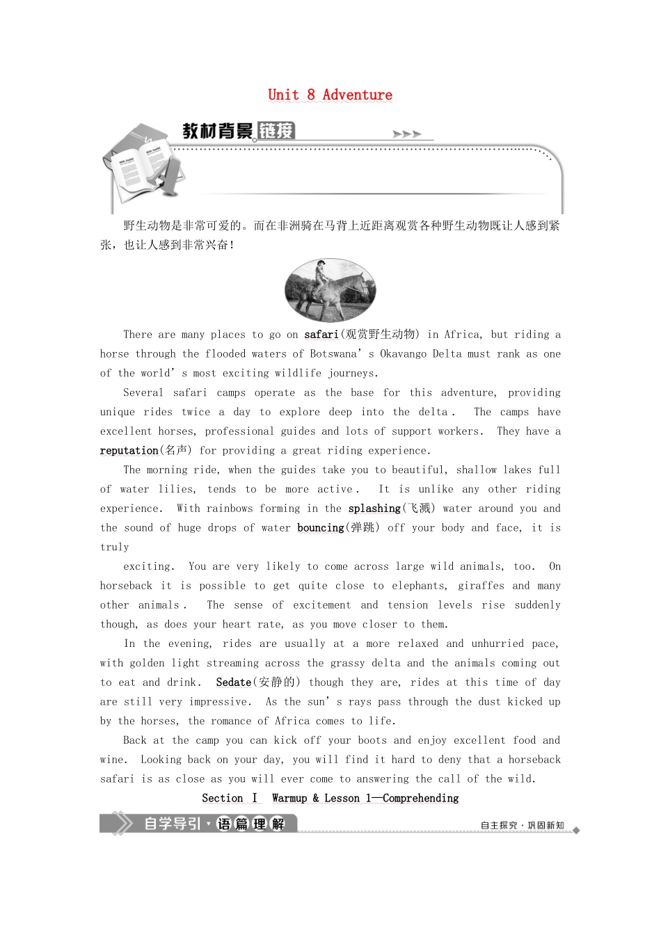 高中英语 Unit 8 Adventure Section Ⅰ Warm up  Lesson 1—Comprehending教案 北师大版必修3-北师大版高一必修3英语教案_第1页