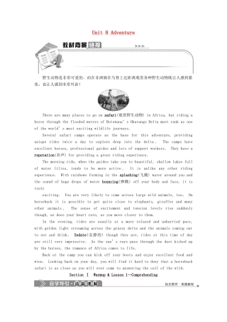 高中英语 Unit 8 Adventure Section Ⅰ Warm up  Lesson 1—Comprehending教案 北师大版必修3-北师大版高一必修3英语教案