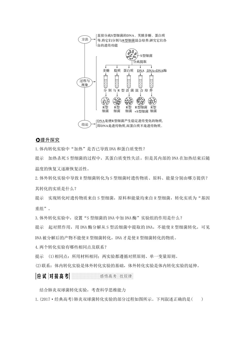 高考生物总复习 第15讲 人类对遗传物质的探索过程教案 中图版-中图版高三全册生物教案_第3页