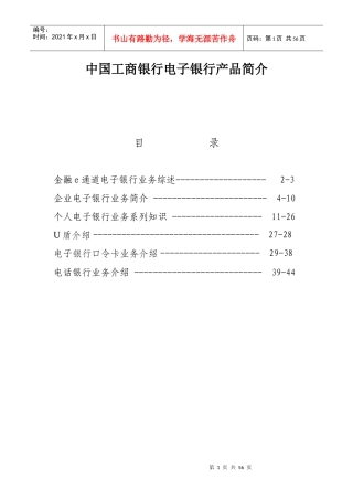 中国某银行电子银行产品简介