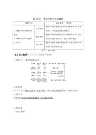 （鲁京津琼）高考生物总复习 第19讲 基因突变与基因重组教案-人教版高三全册生物教案