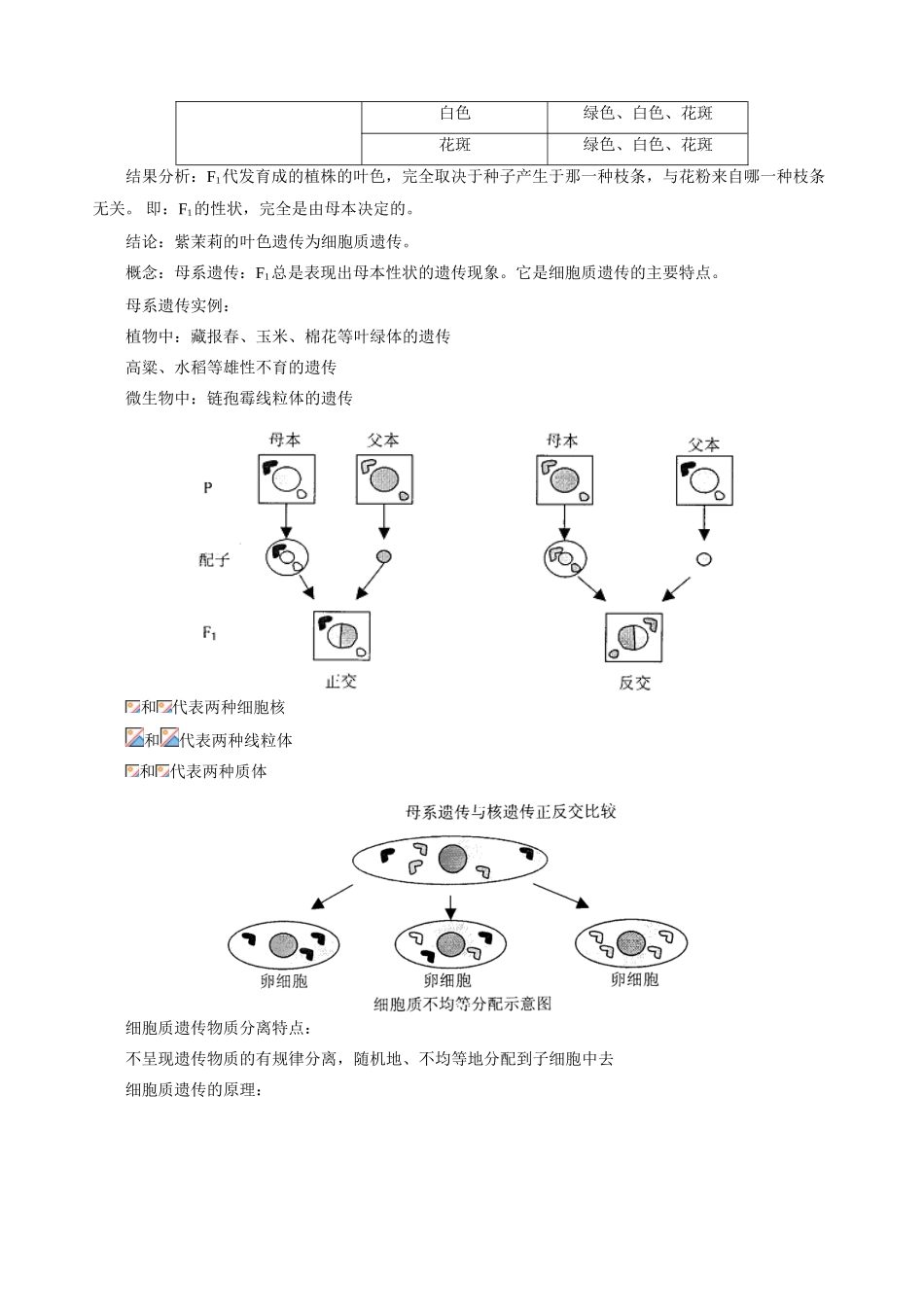 高三生物新课 第三章 遗传与基因工程第一节 细胞质遗传 人教版_第3页