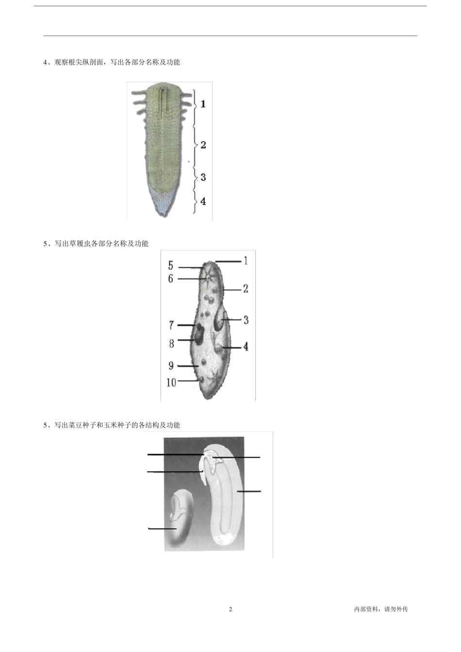 (完整)八年级生物会考复习识图题.doc_第2页