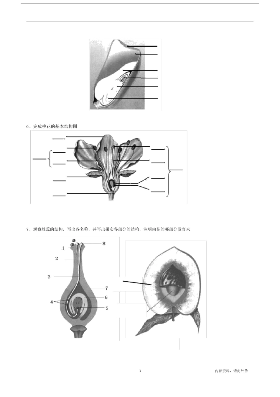 (完整)八年级生物会考复习识图题.doc_第3页
