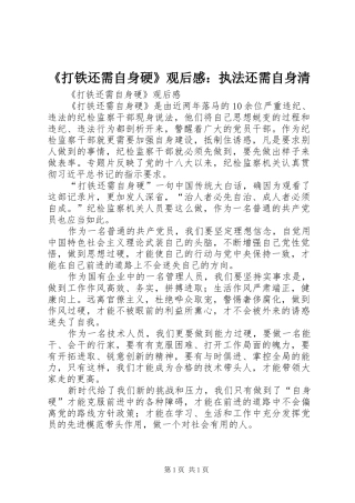 《打铁还需自身硬》观后感：执法还需自身清