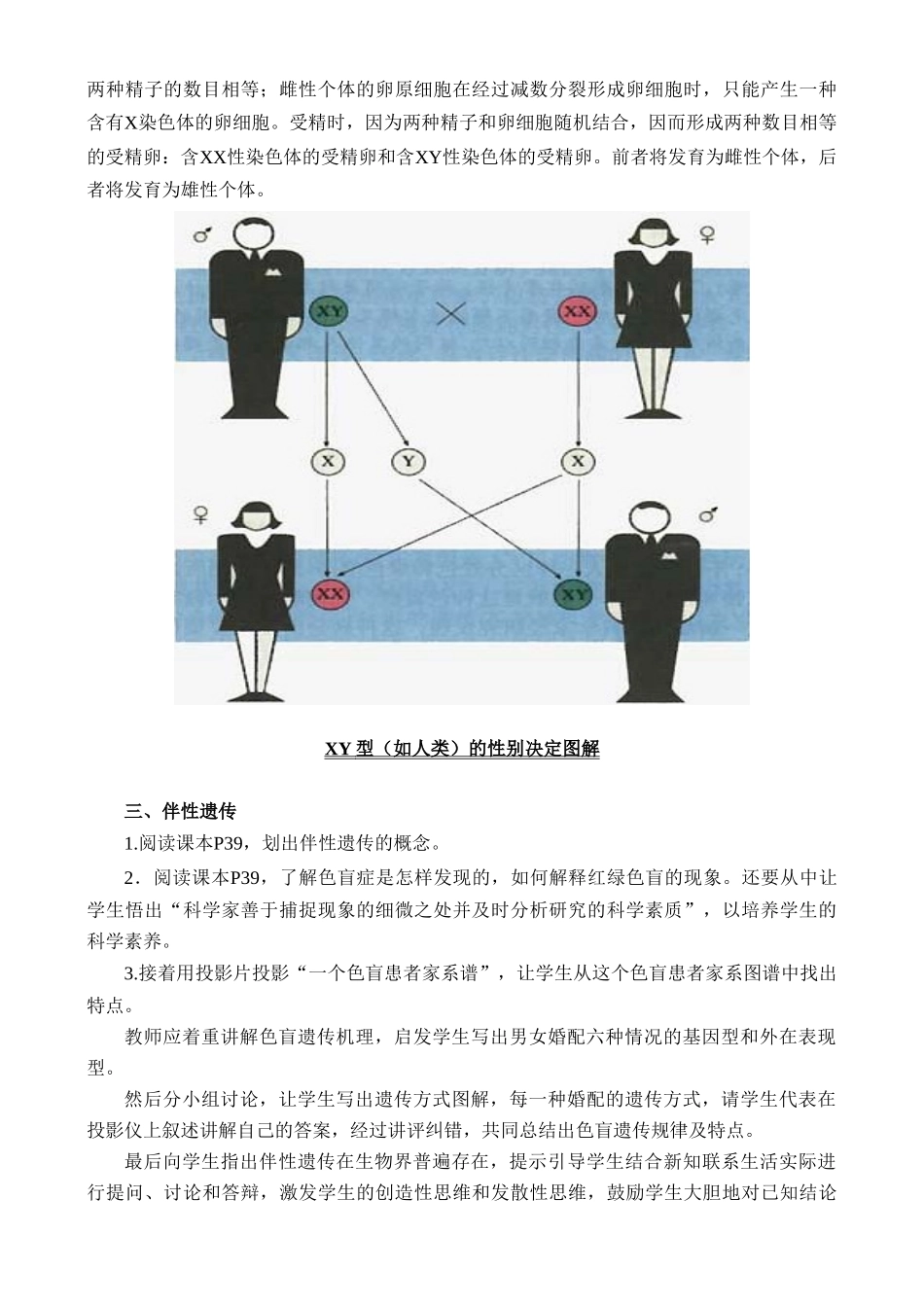 高二生物6.3 性别决定与伴性遗传教案 人教版_第3页