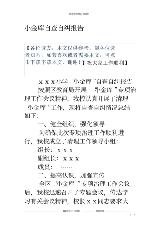小金库自查自纠报告