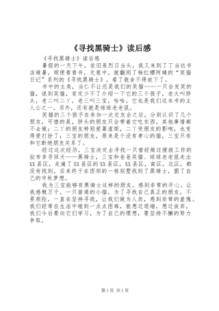 《寻找黑骑士》读后感