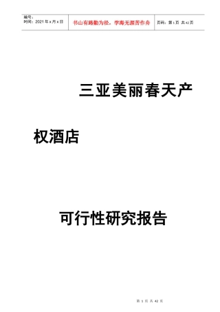 三亚某酒店可行性研究报告