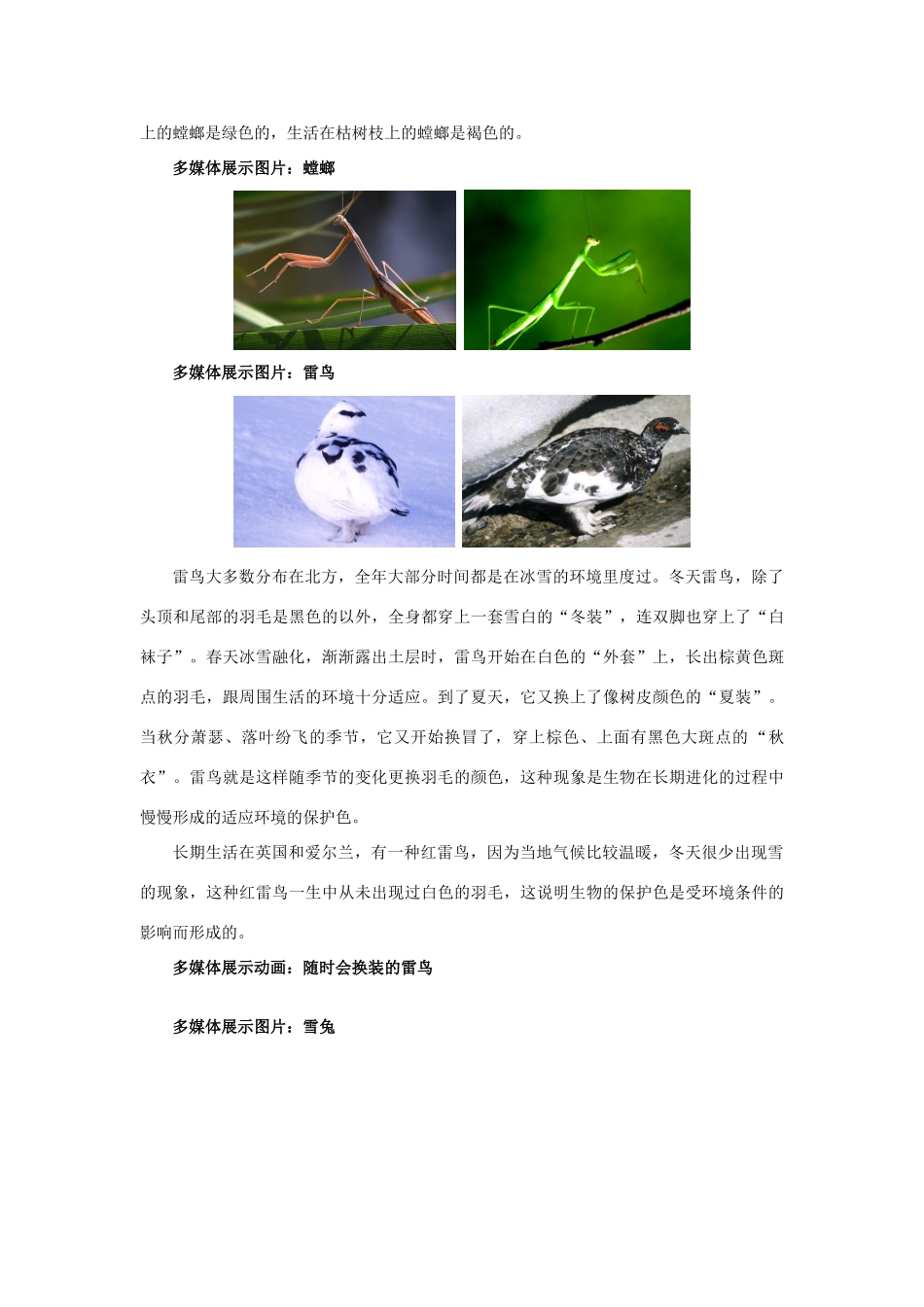 七年级生物上册 2.2.4 生物对环境的适应教案 （新版）苏科版-（新版）苏科版初中七年级上册生物教案_第3页