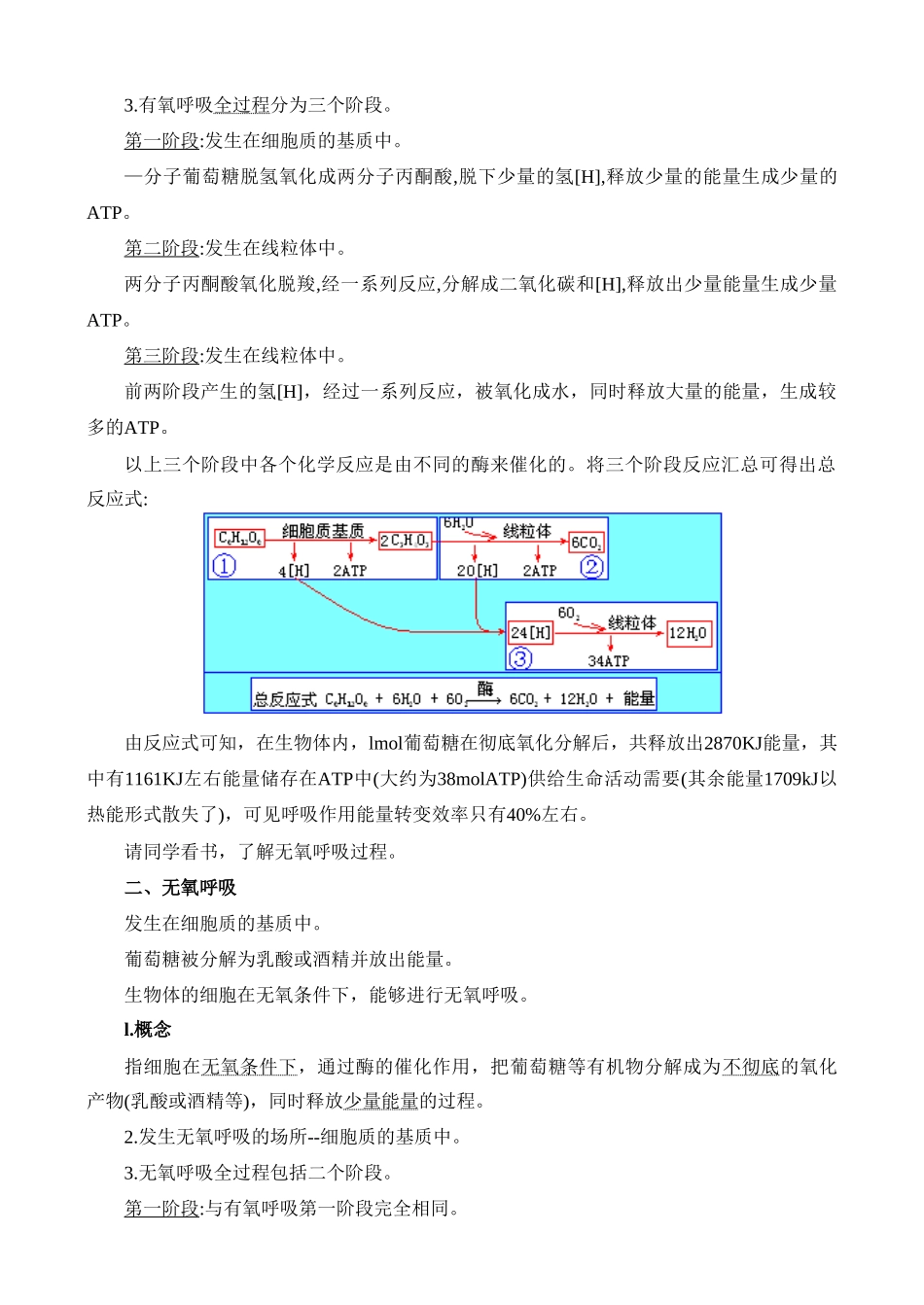 高二生物3.7 生物的呼吸作用教案 人教版_第3页