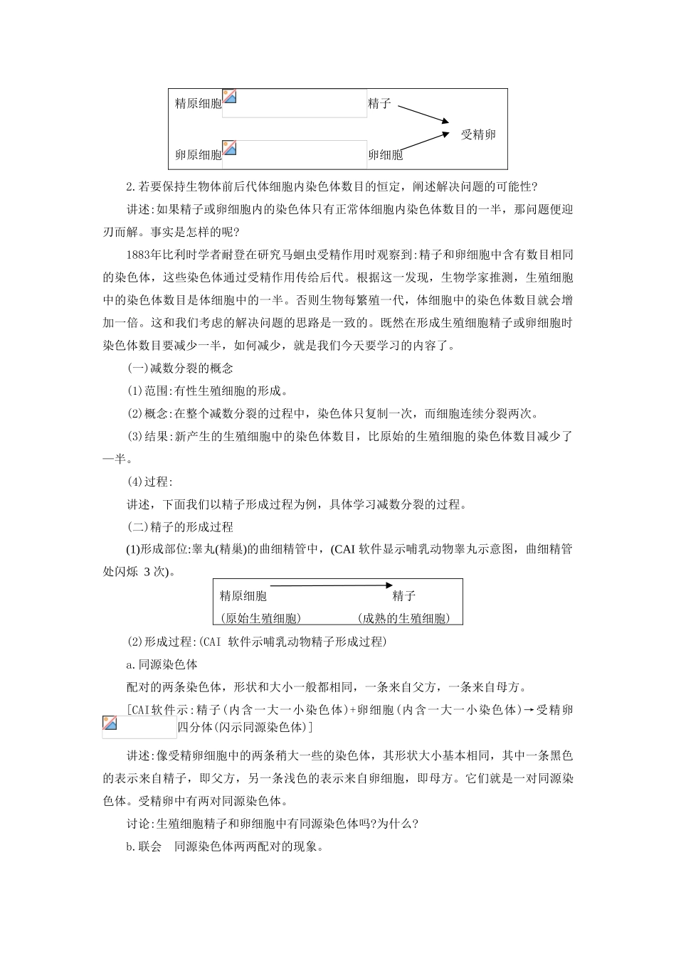 高中生物 减数分裂与配子形成 教案1_第2页