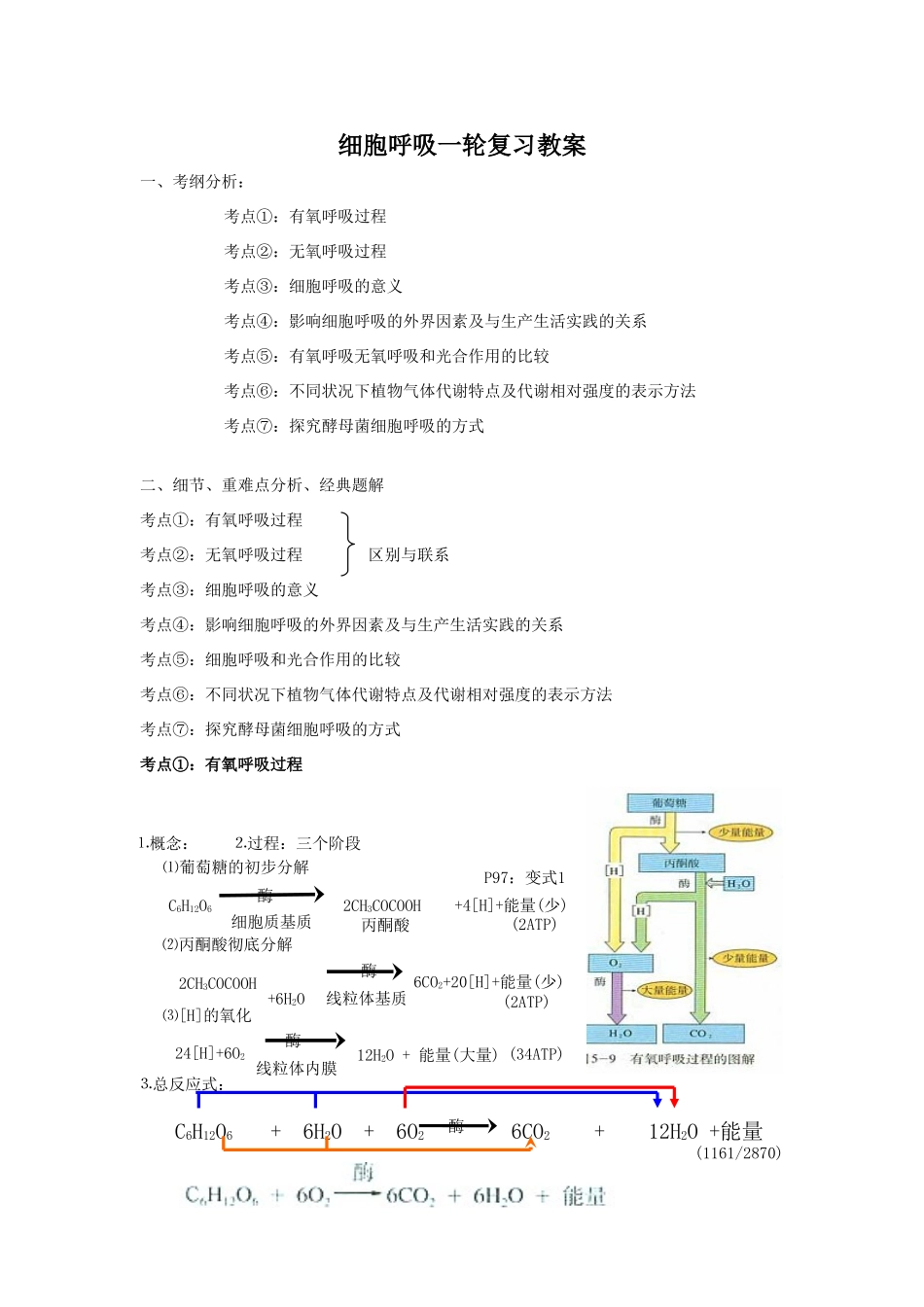 高中生物细胞呼吸一轮复习教案_第1页