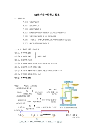 高中生物细胞呼吸一轮复习教案