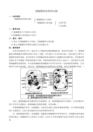 高中生物细胞膜的结构和功能1旧人教必修一
