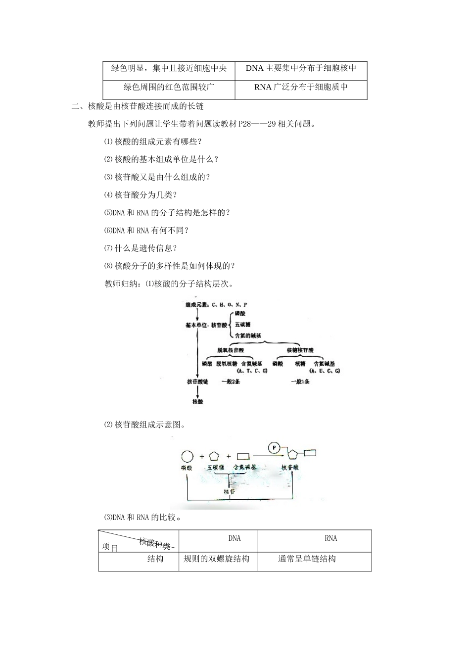 高中生物《核酸的结构和功能》教案3 中图版必修1_第3页
